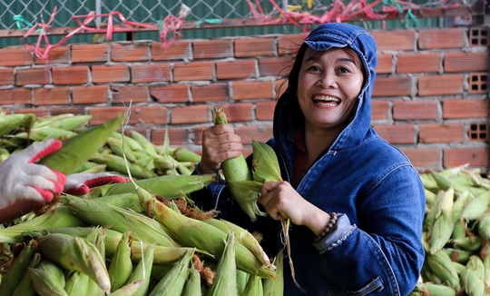 Chợ bắp lớn nhất Sài Gòn - Ảnh 10.