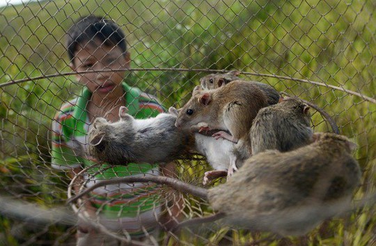 Ăn món ích nước, lợi nhà - Ảnh 3.