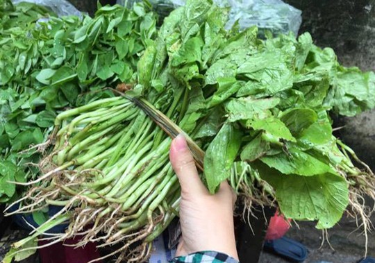 Mưa ngập đồng, giá rau xanh tại chợ Hà Nội tăng mạnh - Ảnh 2.