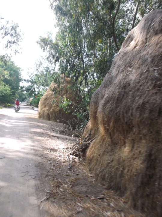 Lung linh mùa nước nổi ở An Giang - Ảnh 4.