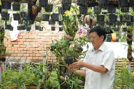 Nông nghiệp gắn với homestay trên quê hương Bác Tôn - Ảnh 2.