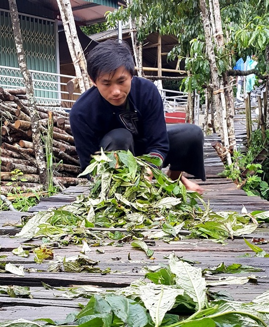 Nghèo vật chất, giàu ý chí