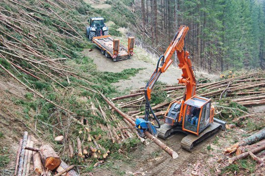 15 chủ đất lớn nhất tại Mỹ - Ảnh 11.