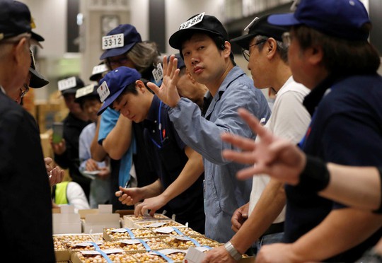 Vì sao chợ cá lớn nhất thế giới ở Nhật gây tranh cãi khi dời địa điểm? - Ảnh 11.