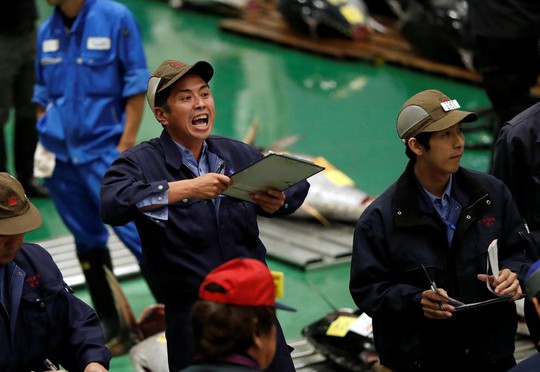 Vì sao chợ cá lớn nhất thế giới ở Nhật gây tranh cãi khi dời địa điểm? - Ảnh 6.