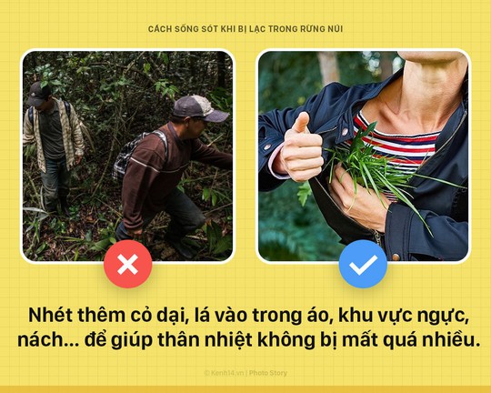 Mẹo sinh tồn ai cũng nên biết nếu bị lạc trong rừng - Ảnh 4.