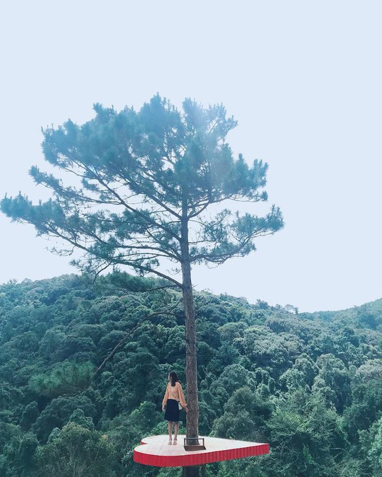 Dân du lịch háo hức “check-in” cây thông độc đáo ở Đà Lạt - Ảnh 6.