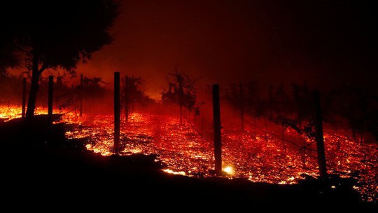 Cháy rừng California: Hơn 600 người mất tích, tăng gấp đôi chỉ sau 1 đêm - Ảnh 8.
