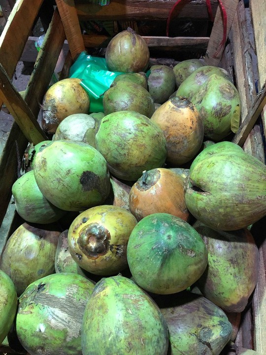 Tham rẻ mua dừa xiêm 5.000 đồng/quả, về bổ ra được 1, 2 giọt nước - Ảnh 2.