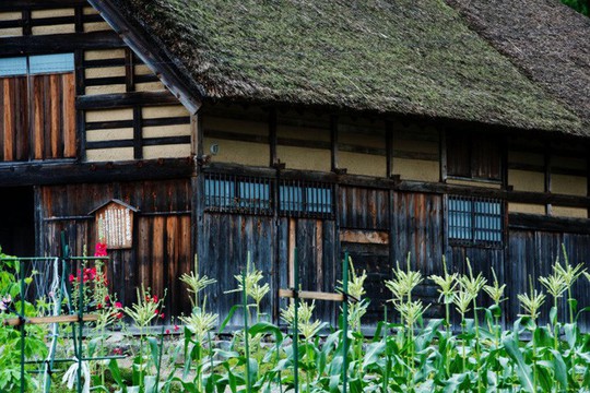 Những ngôi nhà đẹp tựa tranh vẽ ở nông thôn Nhật Bản - Ảnh 20.