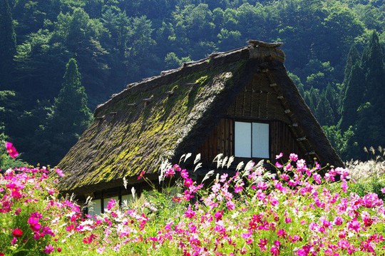 Những ngôi nhà đẹp tựa tranh vẽ ở nông thôn Nhật Bản - Ảnh 3.