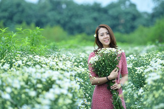 Xuyến xao mùa cúc họa mi đón đông về giữa lòng Hà Nội - Ảnh 20.