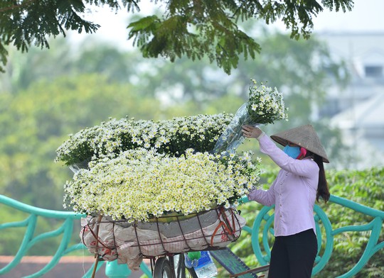 Xuyến xao mùa cúc họa mi đón đông về giữa lòng Hà Nội - Ảnh 35.