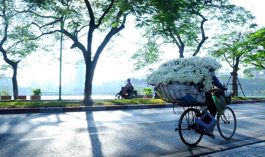 Xuyến xao mùa cúc họa mi đón đông về giữa lòng Hà Nội - Ảnh 39.