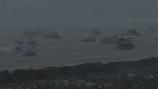 Bão số 9 đã vào Bà Rịa - Vũng Tàu, mưa rất to, cây ngã đổ, tàu chìm - Ảnh 5.