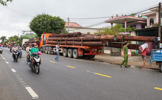 Không có giấy tờ, 4 xe container chở cả trăm mét khối gỗ khủng bị bắt giữ - Ảnh 1.