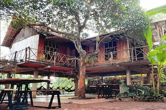 Homestay: dễ mở nhưng không dễ thu - Ảnh 2.