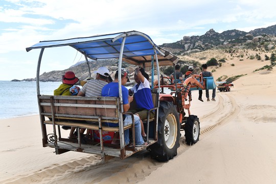 Máy cày, xe bọ hung độc đáo chuyên chở du khách ở Mũi Dinh - Ảnh 10.