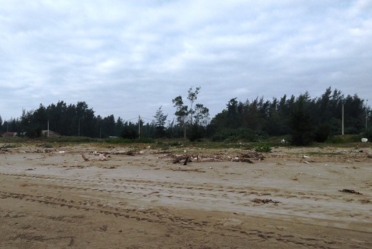 Cận cảnh những cánh rừng phòng hộ ven biển Thanh Hóa bị “xóa sổ” sau 1 quyết định - Ảnh 6.