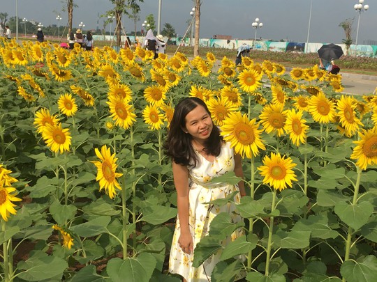 [VIDEO] - Nườm nượp đi xem cánh đồng hoa hướng dương ven sông Sài Gòn - Ảnh 8.