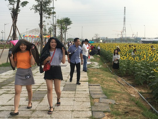 [VIDEO] - Nườm nượp đi xem cánh đồng hoa hướng dương ven sông Sài Gòn - Ảnh 14.
