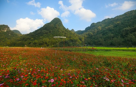 Bên trong thung lũng hoa lớn nhất Việt Nam - Ảnh 1.