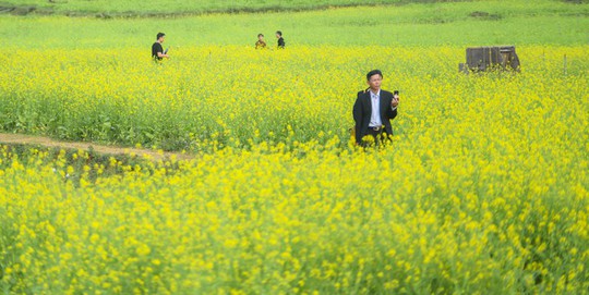 Bên trong thung lũng hoa lớn nhất Việt Nam - Ảnh 2.