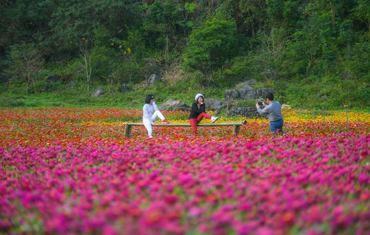 Bên trong thung lũng hoa lớn nhất Việt Nam - Ảnh 6.
