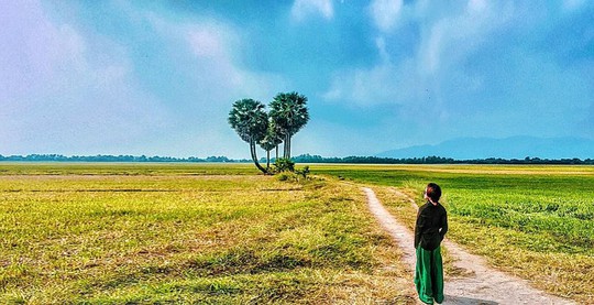 10 cây cô đơn sống ảo của giới trẻ Việt Nam - Ảnh 7.