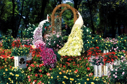 Hội Hoa Xuân TP HCM  2018: Điểm hẹn lý tưởng cho du khách ngày Xuân - Ảnh 4.