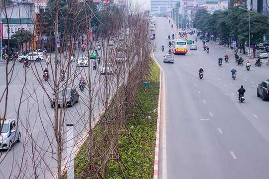 Hàng cây phong lá đỏ nảy lộc đón Tết giữa đường phố Thủ đô  Địa ốc - Ảnh 11.