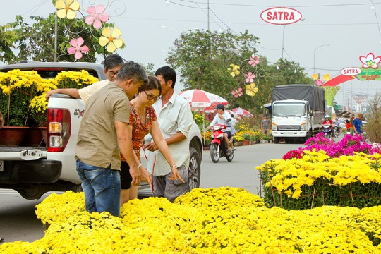 Khai mạc Chợ Hoa Xuân Bình Điền - Ảnh 2.