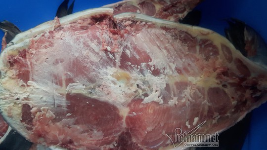 Đại gia Hà Nội xẻ thịt thủy quái 120kg đãi khách ngày Tết - Ảnh 1.