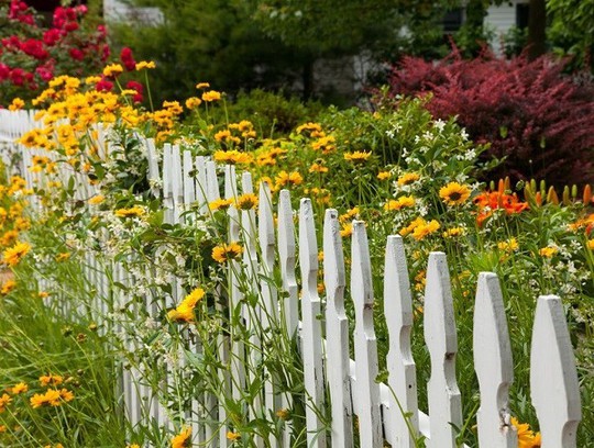 Mê mẩn những hàng rào tuyệt đẹp bằng hoa - Ảnh 10.