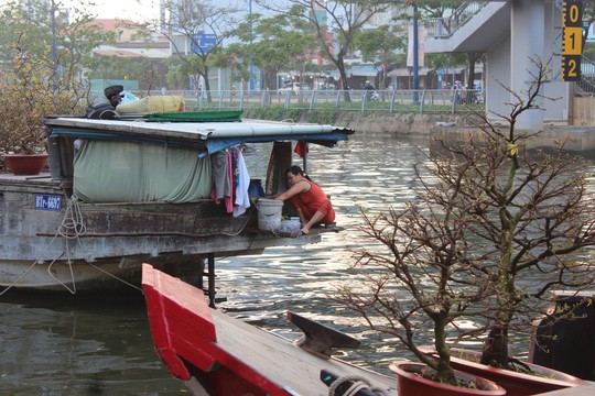 Nhấm nháp Tết trên bến Bình Đông - Ảnh 22.