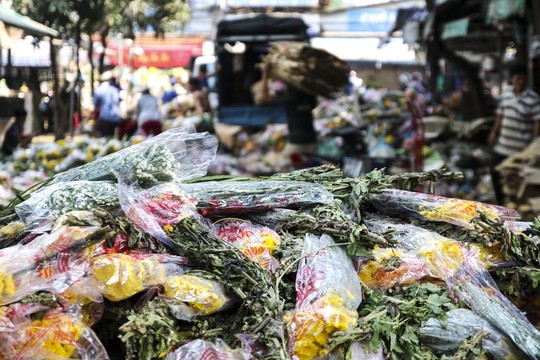 Hoa Tết dội chợ, chất như núi ở chợ hoa sỉ Đầm Sen, TP HCM - Ảnh 15.