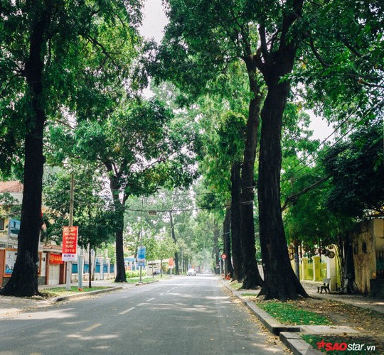 Không ồn ào vội vã, Sài Gòn - Hà Nội được trả lại vẻ yên bình trong ngày mùng 1 Tết - Ảnh 3.