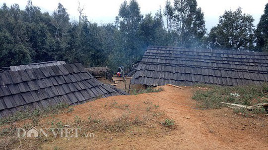 Ngôi làng 100% hộ nghèo nhưng nhà nào cũng làm bằng gỗ quý pơmu - Ảnh 1.