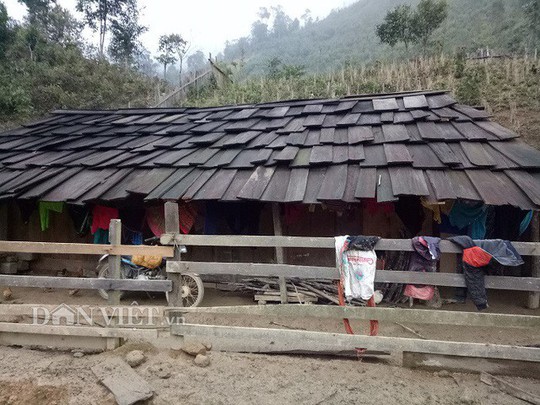 Ngôi làng 100% hộ nghèo nhưng nhà nào cũng làm bằng gỗ quý pơmu - Ảnh 2.