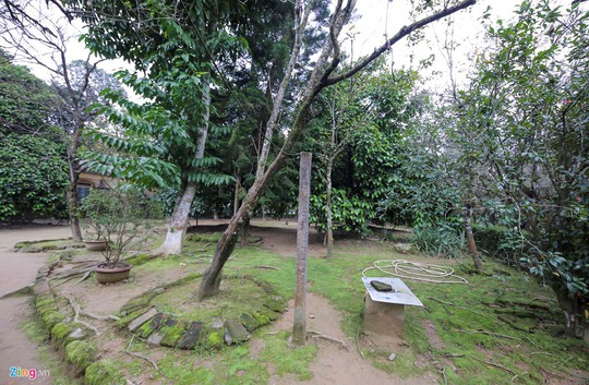 Nhà vườn 5.000 m2 cổ nhất xứ Huế - Ảnh 15.