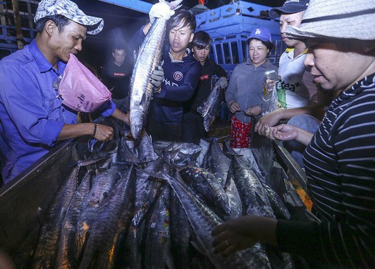 Ngư dân trúng 10 tấn cá sau chuyến đi xuyên Tết - Ảnh 10.