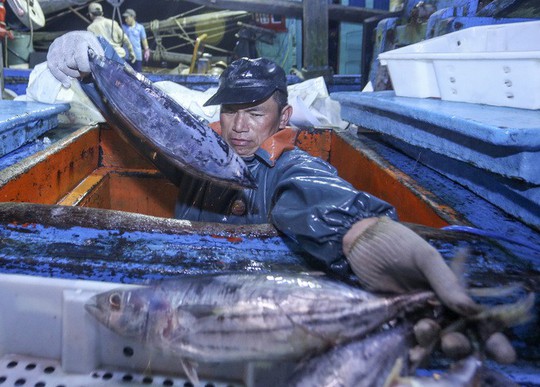 Ngư dân trúng 10 tấn cá sau chuyến đi xuyên Tết - Ảnh 5.