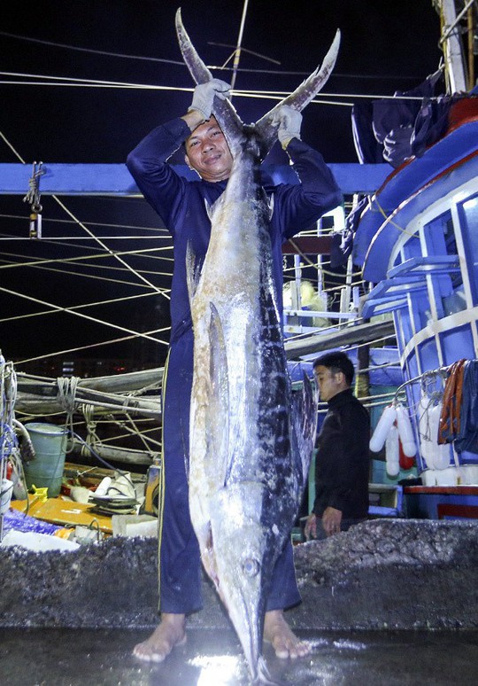 Ngư dân trúng 10 tấn cá sau chuyến đi xuyên Tết - Ảnh 7.