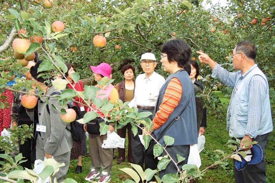 Du lịch Nhật Bản mà chưa đến chỗ này xem ra cũng phí - Ảnh 3.