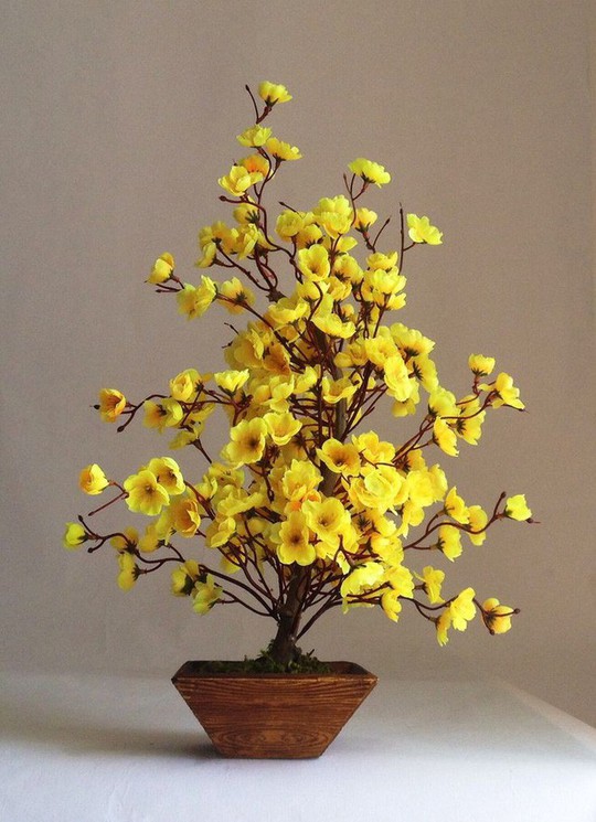  15 chậu bonsai mini siêu đẹp trang trí nhà dịp Tết  - Ảnh 4.