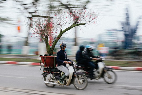 4 phiên chợ ngày Tết không nên bỏ lỡ tại Hà Nội - Ảnh 1.