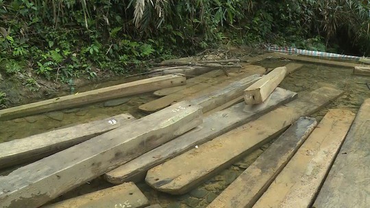 Phát hiện vụ xẻ thịt rừng phòng hộ lớn nhất tỉnh Quảng Bình - Ảnh 2.