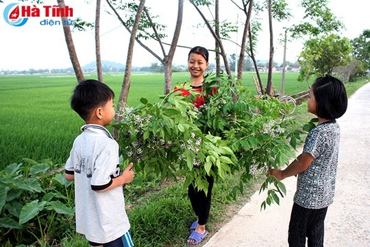 “Hoa xoan lớp lớp rụng vơi đầy” những miền quê Hà Tĩnh - Ảnh 8.