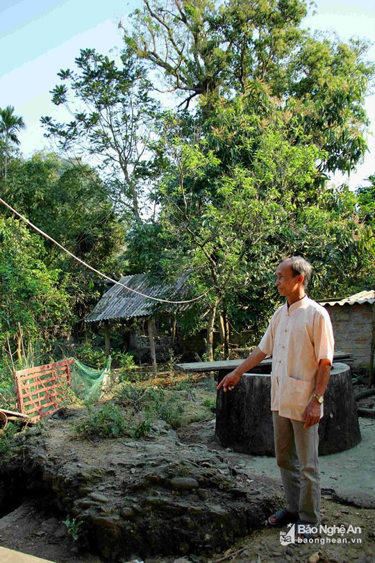 Điều thú vị về cây lội sống qua hơn 10 đời người ở đất Mường Quàng - Ảnh 7.