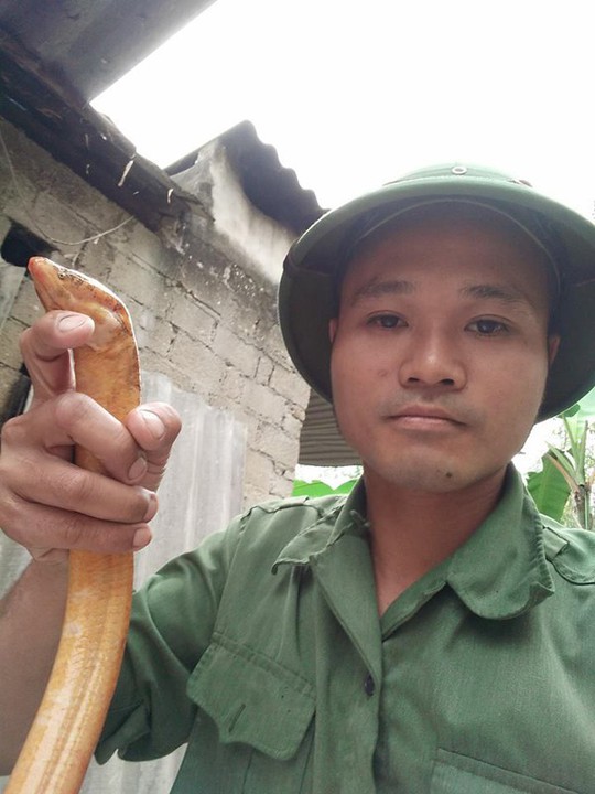Bắt được lươn vàng, từ chối bán để nhiều người cùng được xem - Ảnh 1. Bắt được lươn vàng, từ chối bán để nhiều người cùng được xem - Ảnh 1.